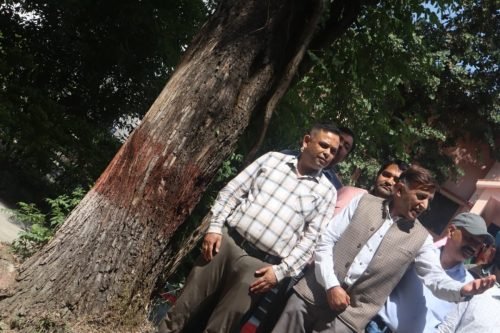 Cultural Event DMS Bhimtal Kumaun University (151)